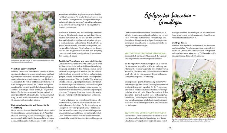 Produktbild: Mein Biogem&uuml;se-Garten