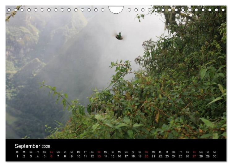 Produktbild: Machu Picchu - Peru (Wandkalender 2026 DIN A4 quer), CALVENDO Monatskalender
