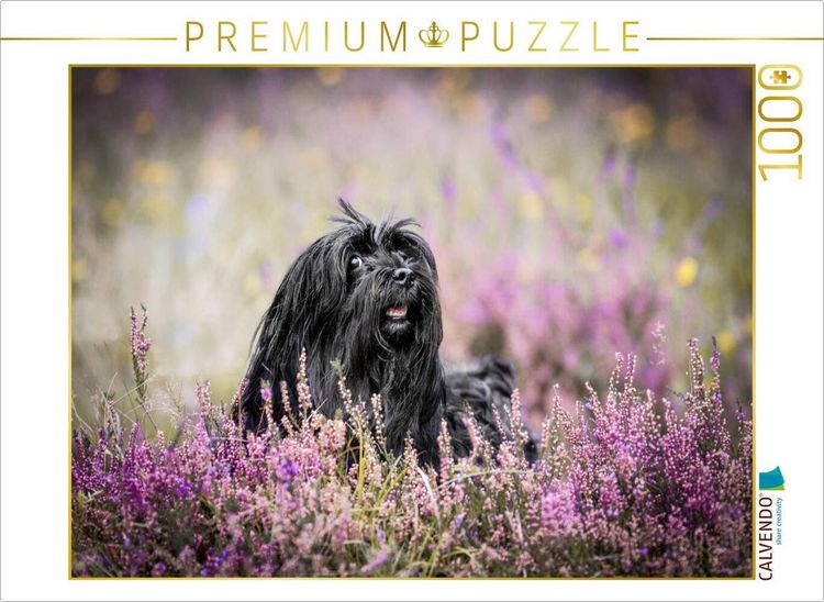 Produktbild: CALVENDO Puzzle Ein Motiv aus dem Kalender Havaneser - Wirbelwinde aus Kuba | 1000 Teile Lege-Gr&ouml;&szlig;e 64x48cm Foto-Puzzle f&uuml;r gl&uuml;ckliche Stunden