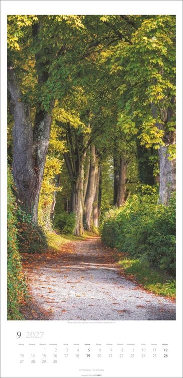 Produktbild: Im Wald Kalender 2027