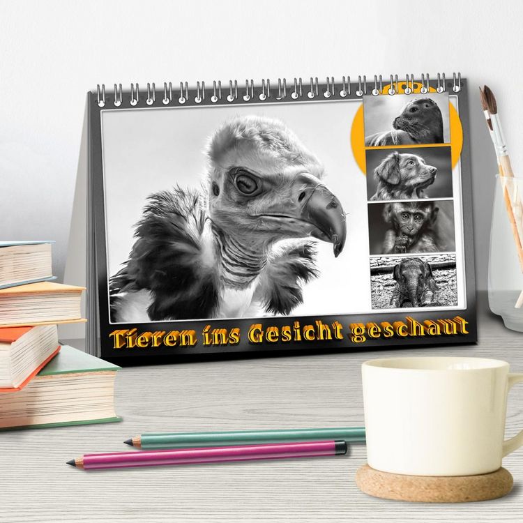 Produktbild: Tieren ins Gesicht geschaut (Tischkalender 2027 DIN A5 quer), CALVENDO Monatskalender