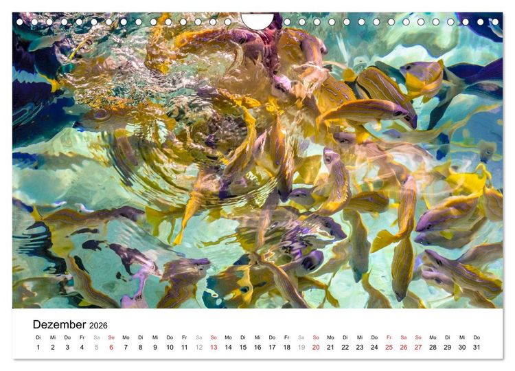Produktbild: Unterwasserwelt der Malediven I (Wandkalender 2026 DIN A4 quer), CALVENDO Monatskalender