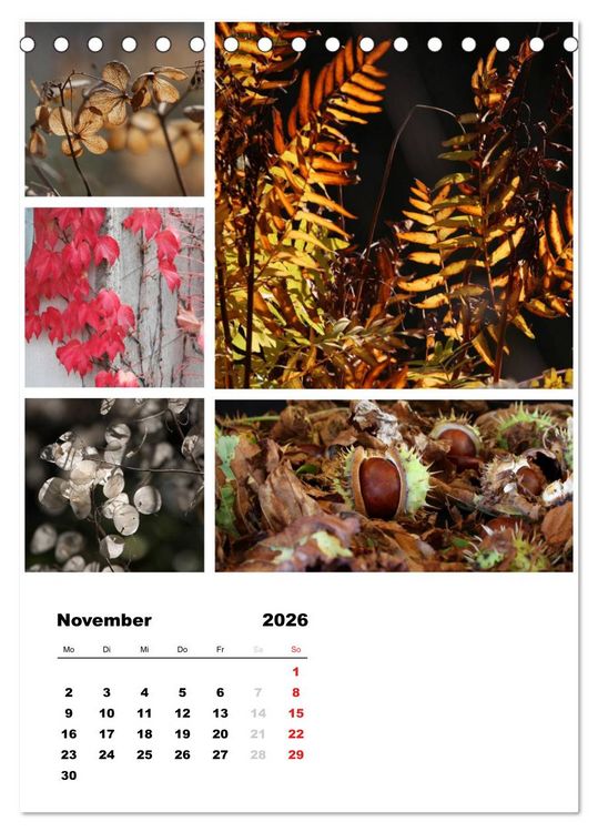 Produktbild: Bl&uuml;ten Collagen (Tischkalender 2026 DIN A5 hoch), CALVENDO Monatskalender