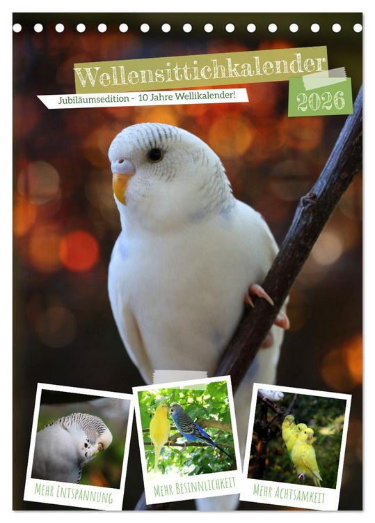 Produktbild: Wellensittichkalender Jubil&auml;umsedition - 10 Jahre Wellensittichkalender! (Tischkalender 2026 DIN A5 hoch), CALVENDO Monatskalender