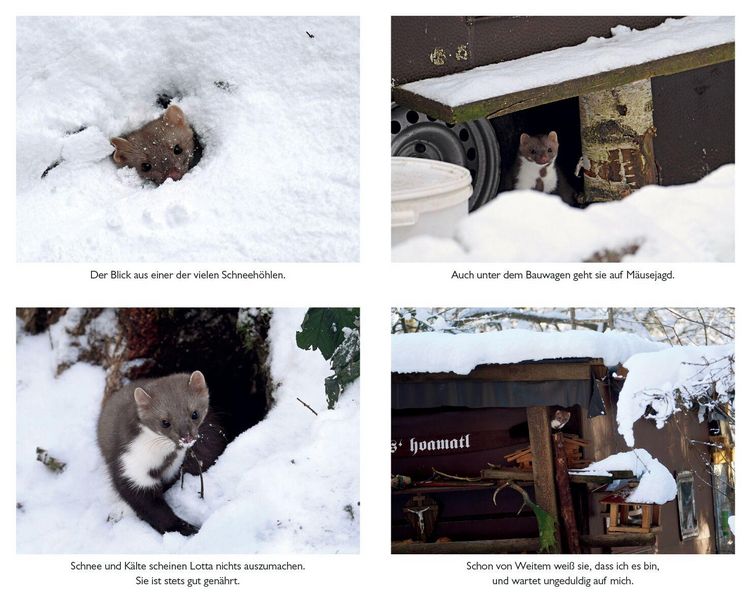 Produktbild: Lotta Marderm&auml;dchen