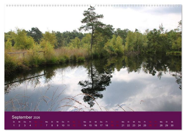 Produktbild: Die Heide bl&uuml;ht (hochwertiger Premium Wandkalender 2026 DIN A2 quer), Kunstdruck in Hochglanz
