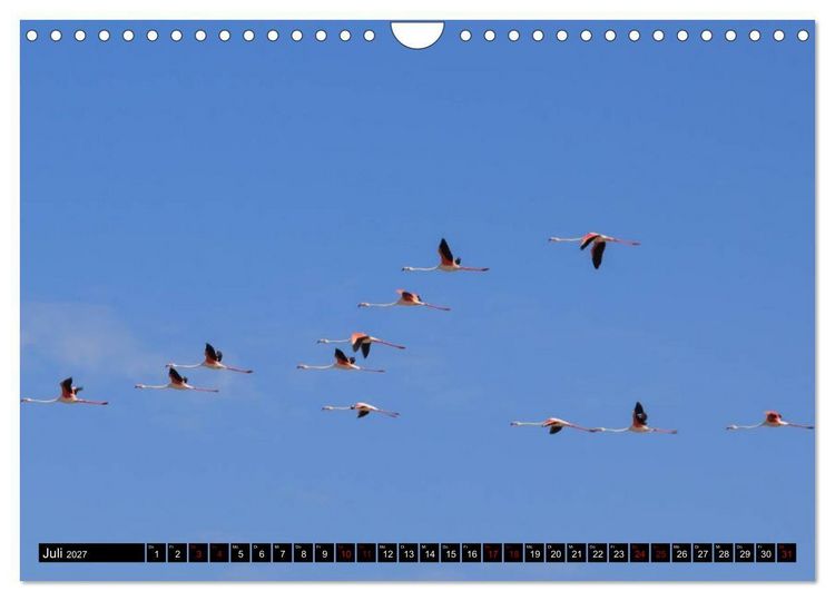 Produktbild: Faszination Sardinien (Wandkalender 2027 DIN A4 quer), CALVENDO Monatskalender