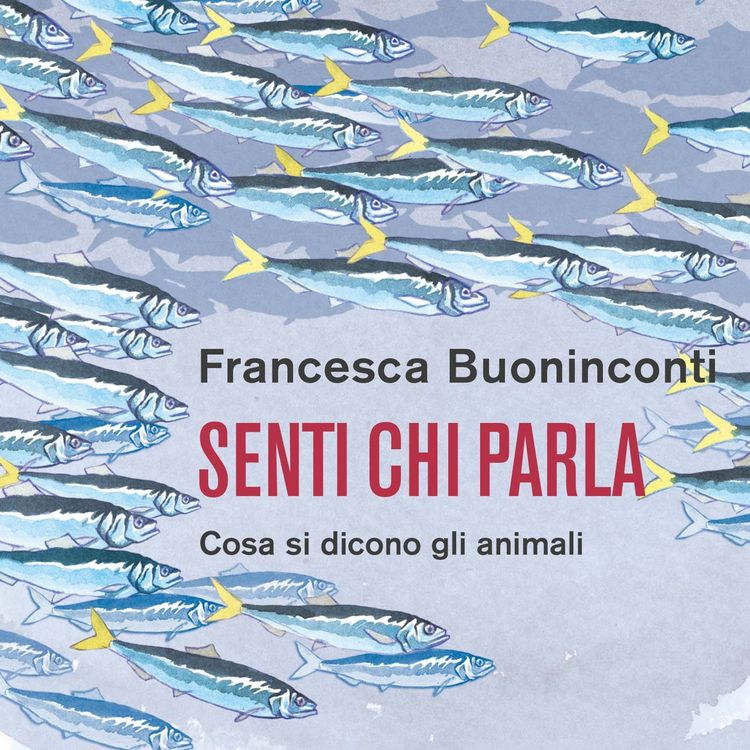 Produktbild: Senti chi parla