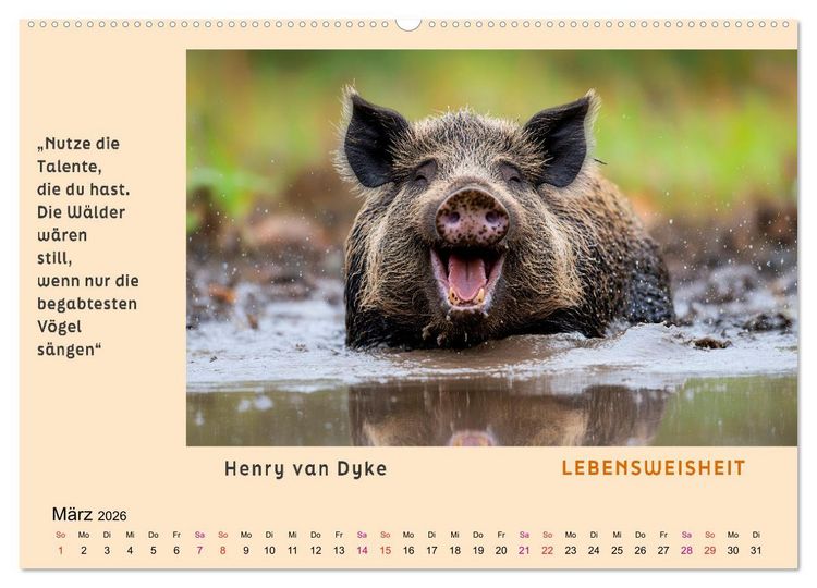 Produktbild: Pfiffig und weise (Wandkalender 2026 DIN A2 quer), CALVENDO Monatskalender