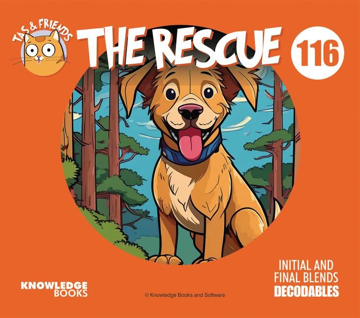 Produktbild: The Rescue
