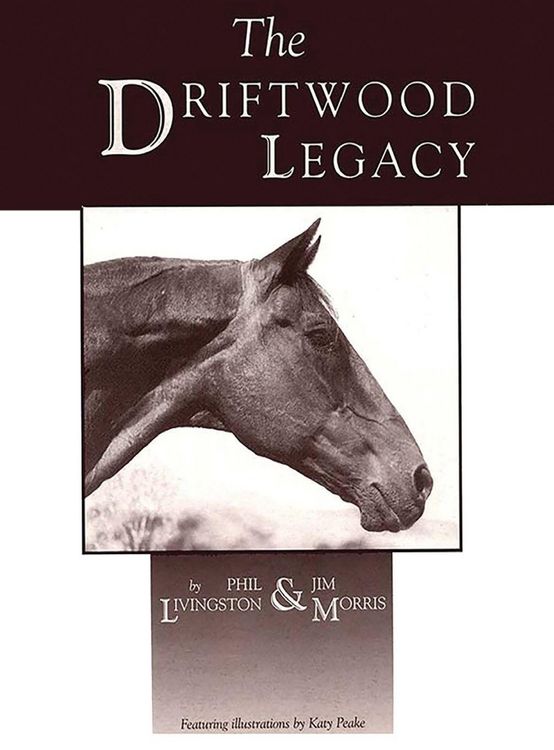Produktbild: Driftwood Legacy