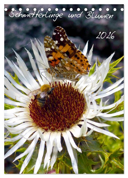 Produktbild: Schmetterlilnge und Blumen (Tischkalender 2026 DIN A5 hoch), CALVENDO Monatskalender