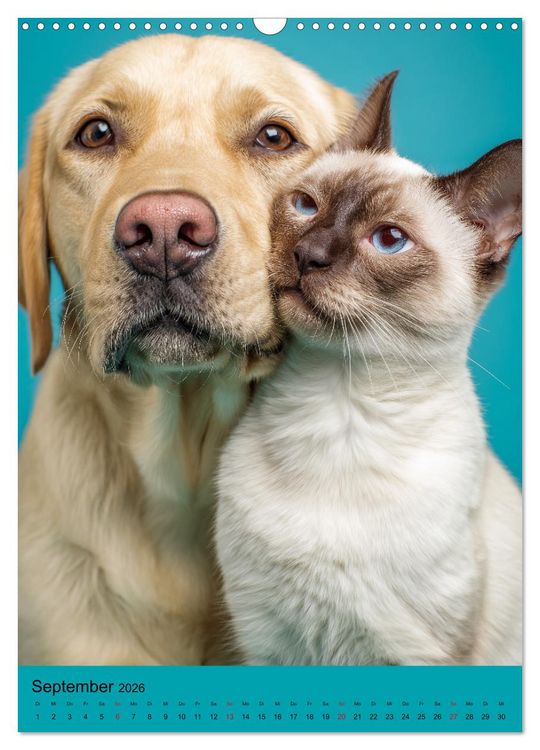 Produktbild: Freundschaftskalender - Katzen und Hunde, beste Freunde in Umarmung (Wandkalender 2026 DIN A3 hoch), CALVENDO Monatskalender
