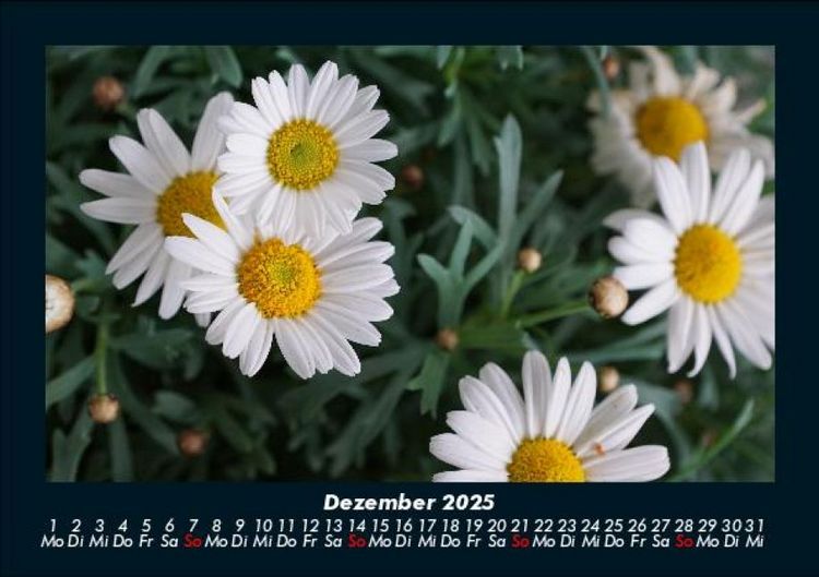 Produktbild: Bilder aus der Natur 2025 Fotokalender DIN A5