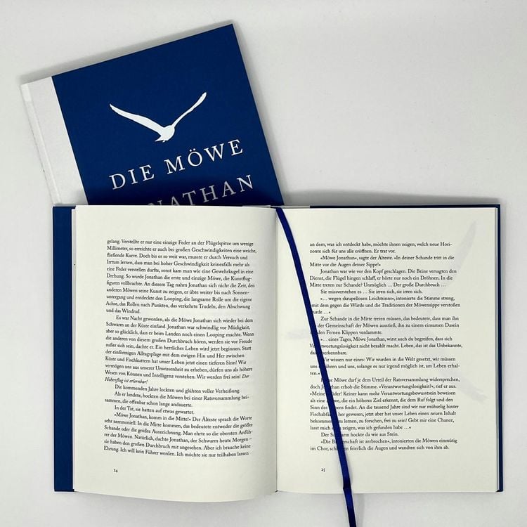 Produktbild: Die M&ouml;we Jonathan