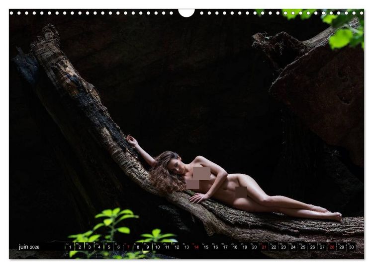 Produktbild: Saint-Tropez Les paysages et le nu (Calendrier mural 2026 DIN A3 vertical), CALVENDO calendrier mensuel