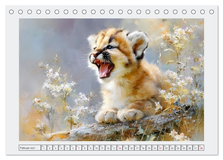 Produktbild: Pumababys. Verspielte Bergl&ouml;wenkinder in der Natur (Tischkalender 2027 DIN A5 quer), CALVENDO Monatskalender