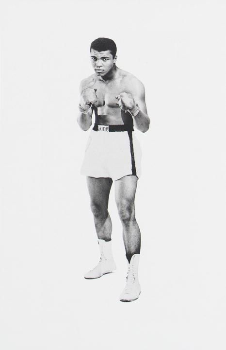Produktbild: More Than a Champion