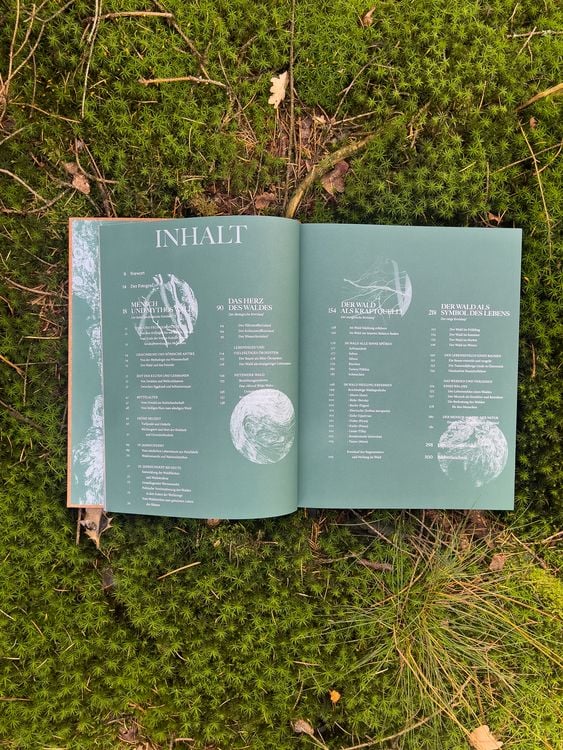 Produktbild: The Woods