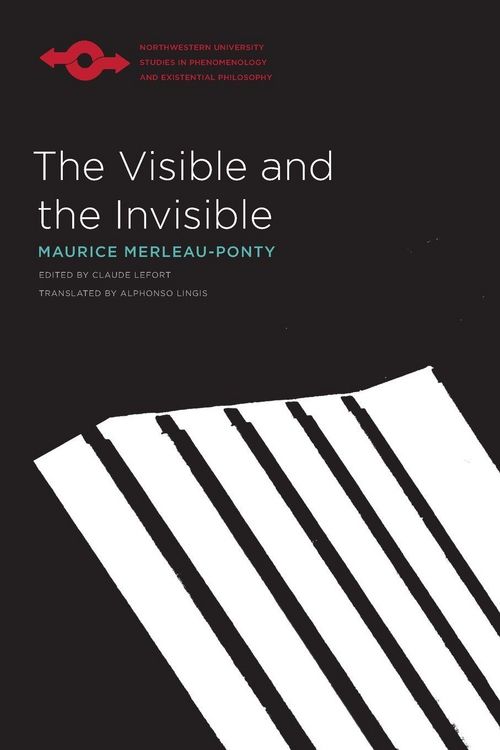 Produktbild: The Visible and the Invisible