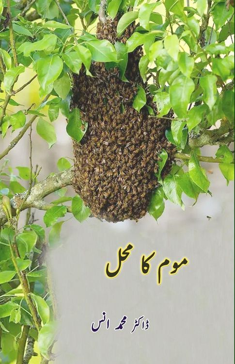 Produktbild: Mom ka Mahal