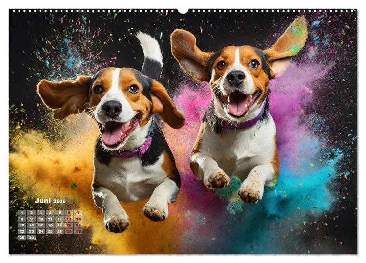 Produktbild: Holi Pulver - Doppelte Action (hochwertiger Premium Wandkalender 2026 DIN A2 quer), Kunstdruck in Hochglanz