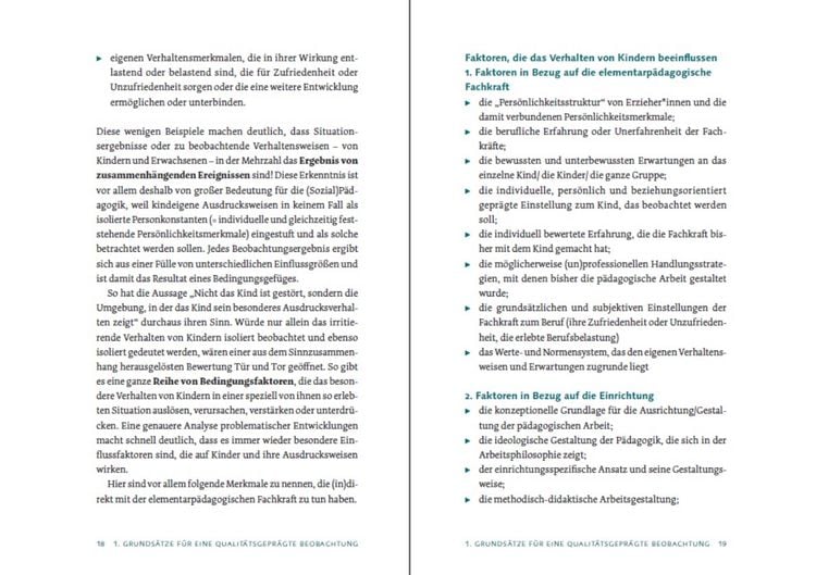 Produktbild: Beobachtung und Entwicklungsdokumentation