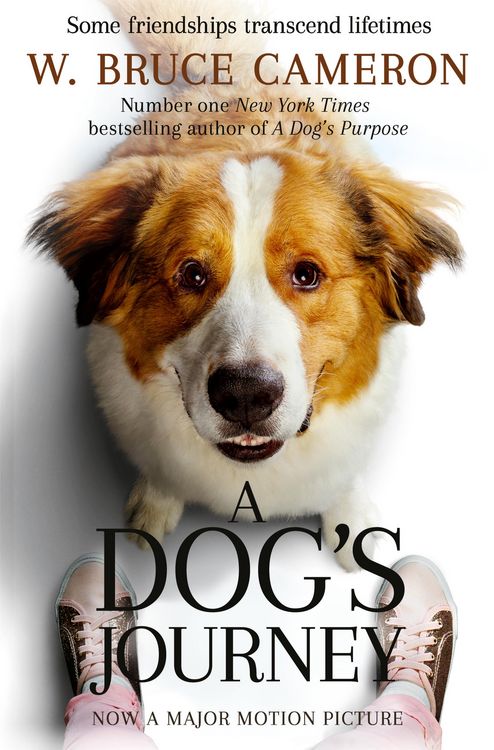 Produktbild: A Dog's Journey