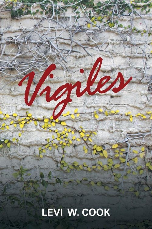 Produktbild: Vigiles