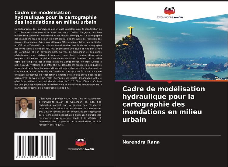 Produktbild: Cadre de mod&eacute;lisation hydraulique pour la cartographie des inondations en milieu urbain