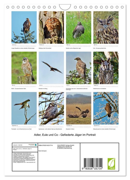 Produktbild: Adler, Eule und Co - Gefiederte J&auml;ger im Portrait (Wandkalender 2026 DIN A4 hoch), CALVENDO Monatskalender