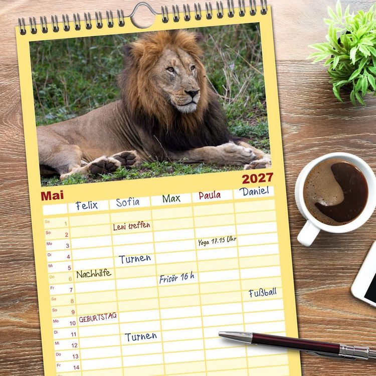 Produktbild: Familienplaner 2027 - L&ouml;wen in Botswana und S&uuml;dafrika mit 5 Spalten (Wandkalender, 21 x 45 cm) CALVENDO