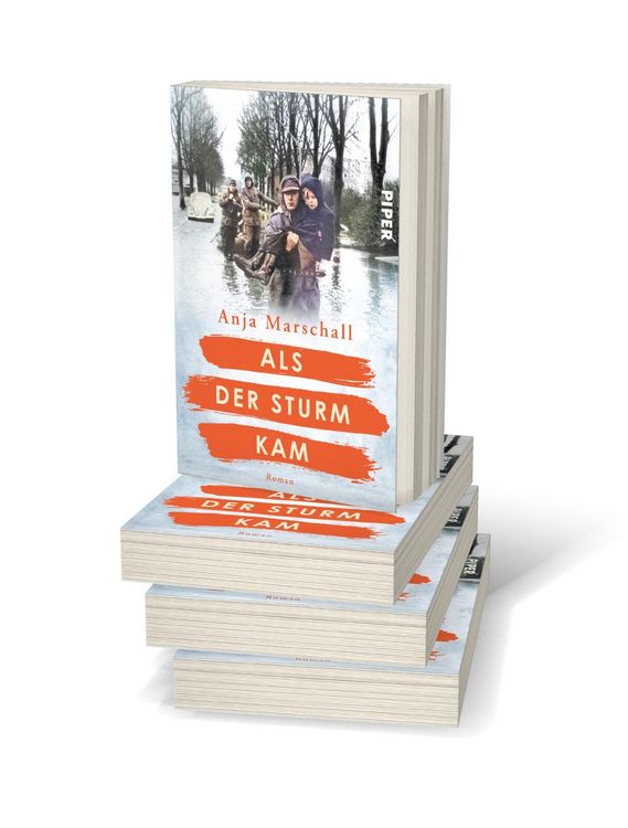 Produktbild: Als der Sturm kam
