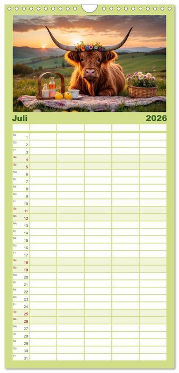 Produktbild: Familienplaner 2026 - Highland K&uuml;he mit 5 Spalten (Wandkalender, 21 x 45 cm) CALVENDO