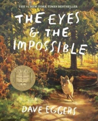 Produktbild: The Eyes and the Impossible