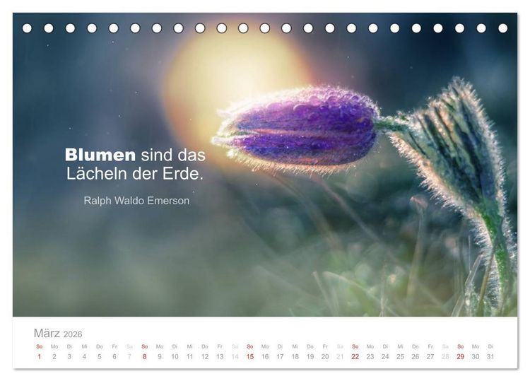 Produktbild: Zauberhafte Spr&uuml;che - Bunte Seelenbl&uuml;ten (Tischkalender 2026 DIN A5 quer), CALVENDO Monatskalender