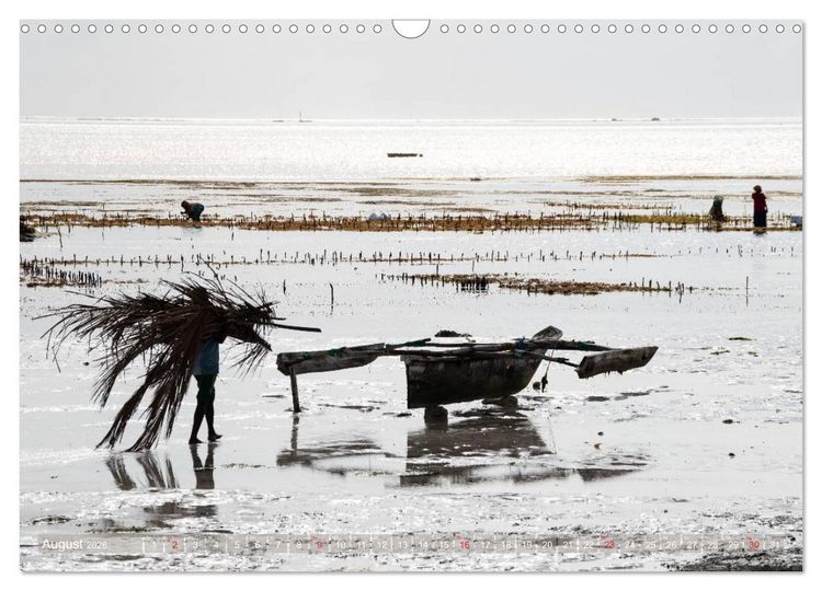 Produktbild: Sansibar - Impressionen von Rolf Dietz (Wandkalender 2026 DIN A3 quer), CALVENDO Monatskalender