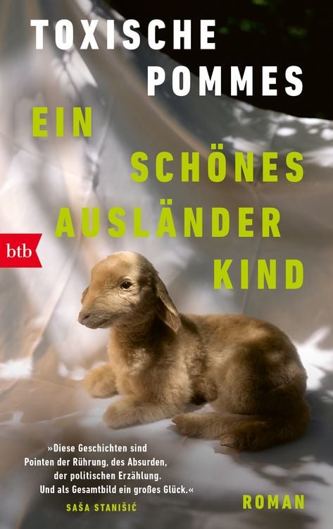 Produktbild: Ein sch&ouml;nes Ausl&auml;nderkind