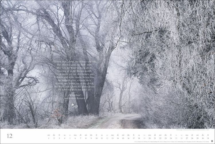 Produktbild: Der deutsche Wald - Ein literarischer Spaziergang Kalender 2027 - Ein literarischer Spaziergang