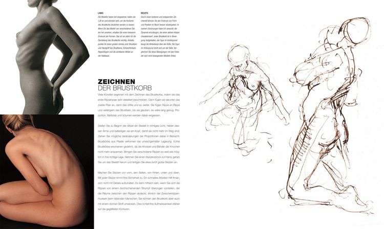Produktbild: Anatomie f&uuml;r K&uuml;nstler