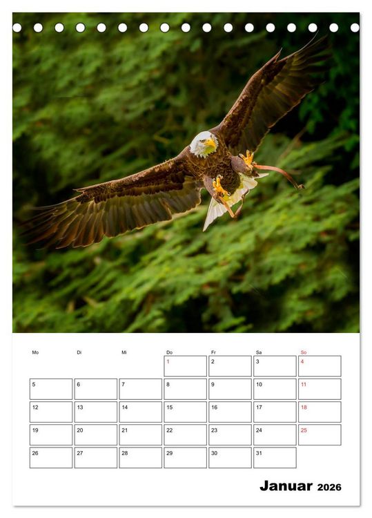 Produktbild: Raub- und Greifv&ouml;gel im Flug (Tischkalender 2026 DIN A5 hoch), CALVENDO Monatskalender