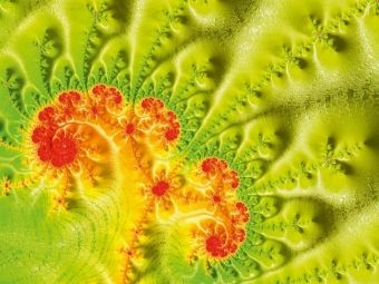 Produktbild: CALVENDO Puzzle spring flower | 1000 Teile Lege-Gr&ouml;&szlig;e 64 &times; 48 cm Foto-Puzzle f&uuml;r gl&uuml;ckliche Stunden