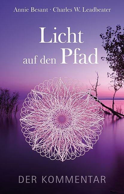 Produktbild: Licht auf den Pfad