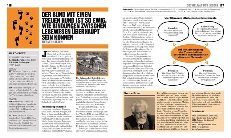 Produktbild: Big Ideas. Das &Ouml;kologie-Buch