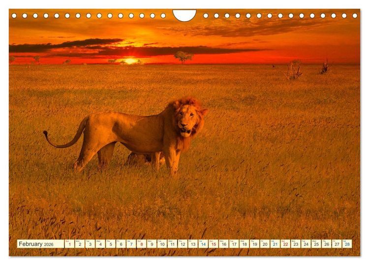Produktbild: Fantastic Kenya (Wall Calendar 2026 DIN A4 landscape), CALVENDO 12 Month Wall Calendar