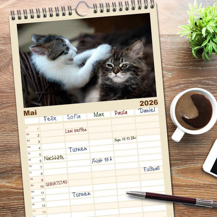 Produktbild: Familienplaner 2026 - Katzenbabys beobachtet mit 5 Spalten (Wandkalender, 21 x 45 cm) CALVENDO