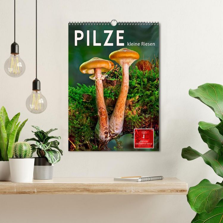 Produktbild: Pilze - kleine Riesen (Wandkalender 2026 DIN A3 hoch), CALVENDO Monatskalender