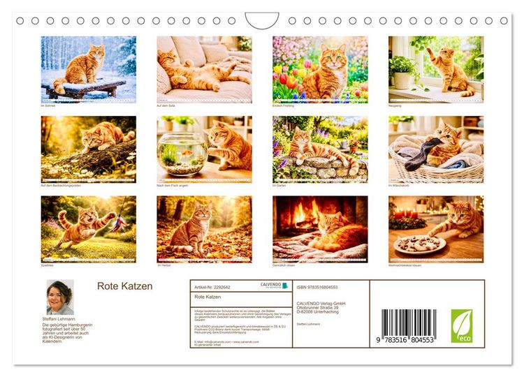 Produktbild: Rote Katzen (Wandkalender 2027 DIN A4 quer), CALVENDO Monatskalender