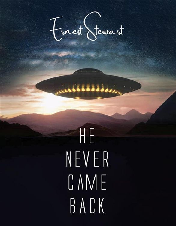 Produktbild: He Never Came Back