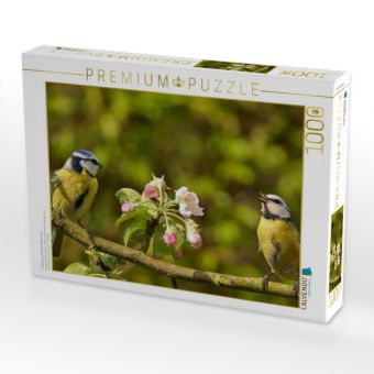 Produktbild: CALVENDO Puzzle Fr&uuml;hlingsmelodie der Blaumeise | 1000 Teile Lege-Gr&ouml;&szlig;e 64x48cm Foto-Puzzle f&uuml;r gl&uuml;ckliche Stunden